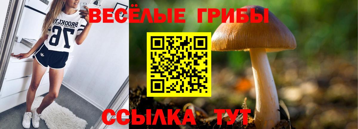 что такое наркотик  Вход с VPN  Красноуфимск  Псилоцибиновые грибы Magic Shrooms 